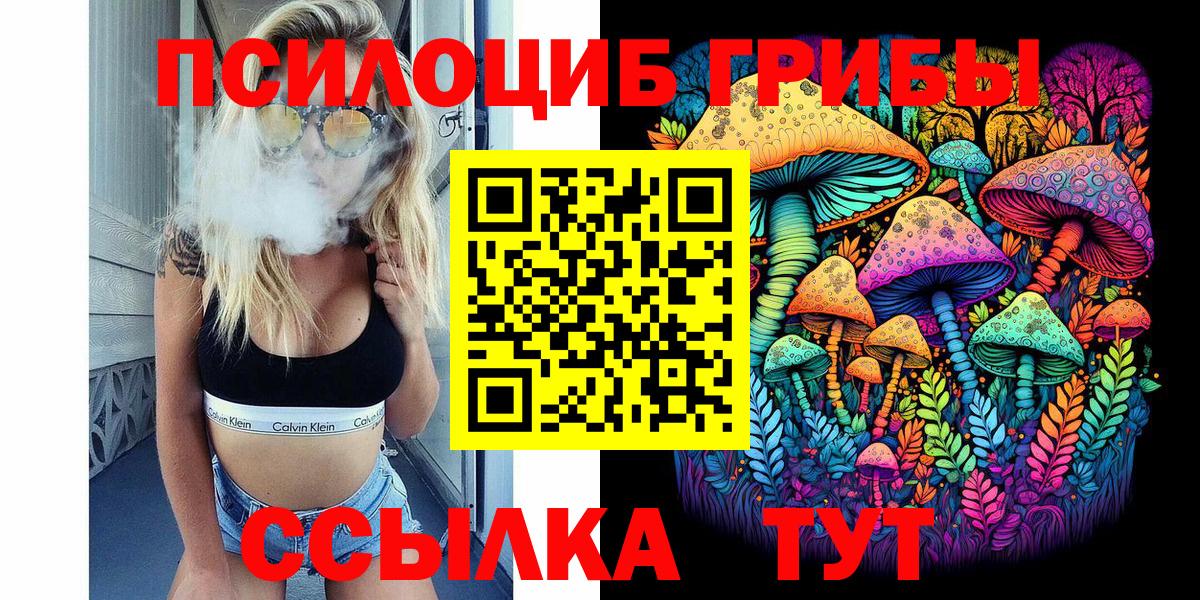 Псилоцибиновые грибы Psilocybine cubensis Гатчина