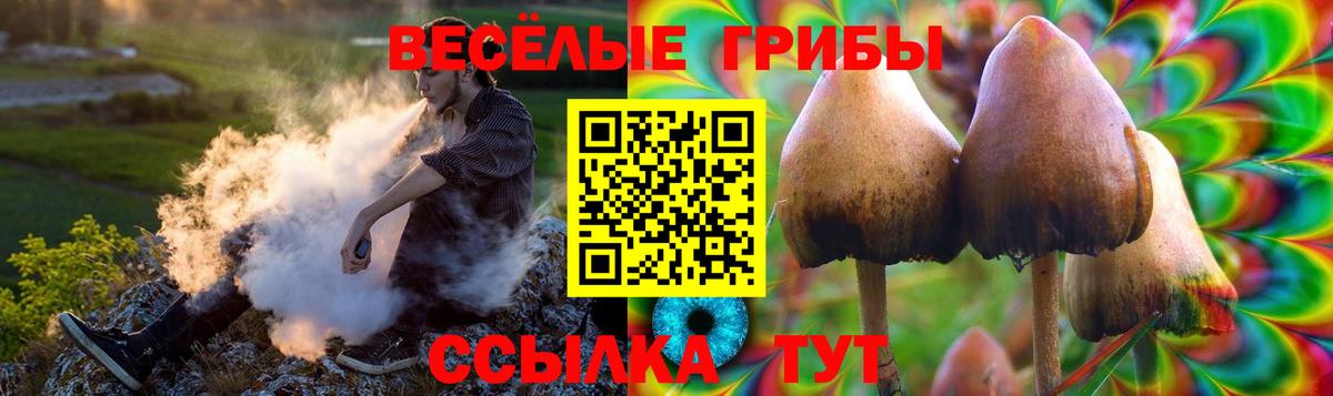 Гатчина  Галлюциногенные грибы GOLDEN TEACHER  Вход с VPN  цена наркотик  Галлюциногенные грибы Psilocybine cubensis 